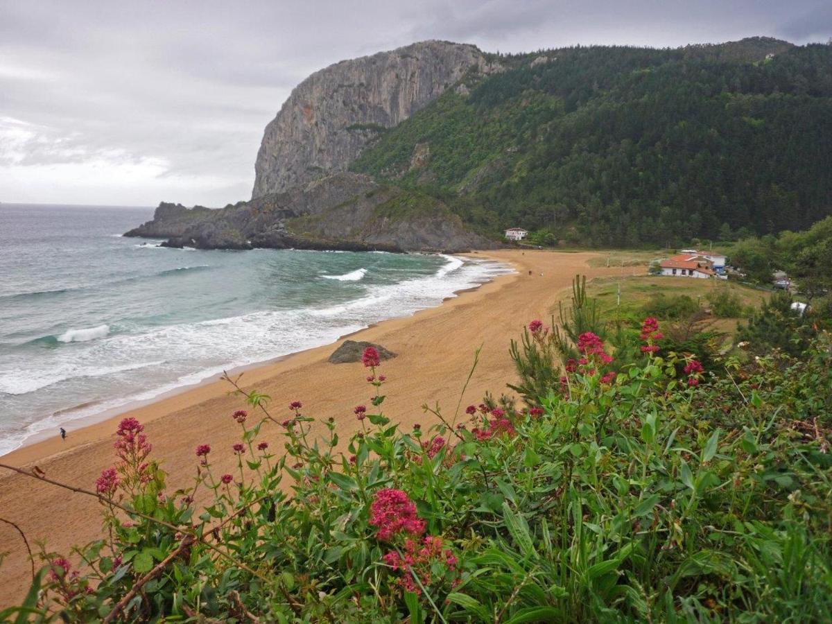 Апартаменты Gernika Urdaibai Экстерьер фото